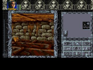 Ambermoon Amiga screenshot