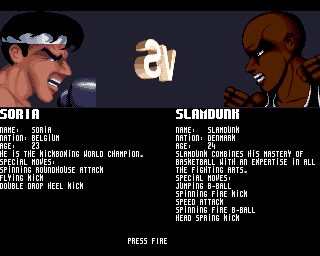 Shadow Fighter Amiga screenshot