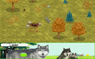 Wolf: The Simulation - DOS