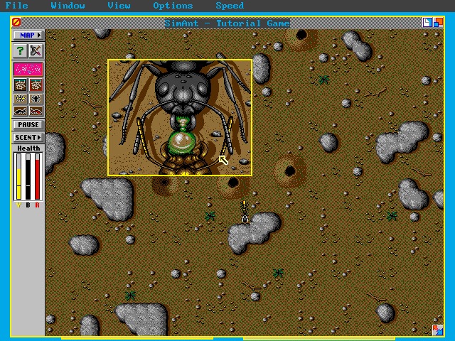 SimAnt: The Electronic Ant Colony (MS-DOS, 1991)
