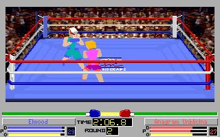 4D Sports Boxing DOS screenshot