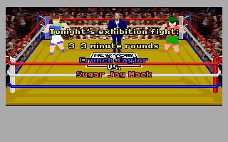 4D Sports Boxing - DOS