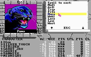 Bard's Tale III: Thief of Fate DOS screenshot