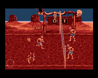 Beach Volley Amiga screenshot