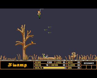 Beyond Dark Castle Amiga screenshot