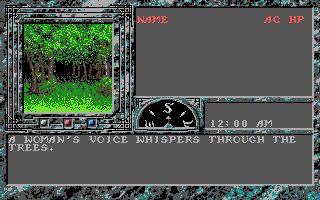 The Dark Queen of Krynn Amiga screenshot
