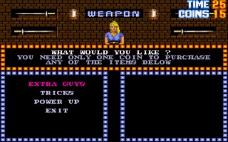 Double Dragon 3: The Rosetta Stone Amiga screenshot