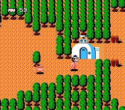 Dragon Power NES screenshot