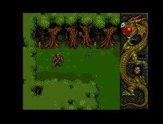 Dragonstone Amiga screenshot