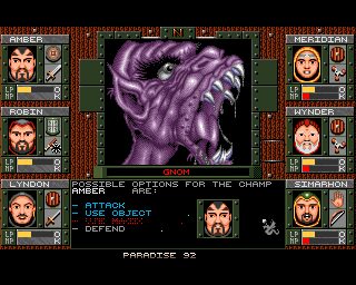 Dungeons Of Avalon Amiga screenshot