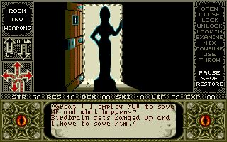 Elvira: Mistress of the Dark Amiga screenshot