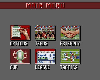 European Champions Amiga screenshot