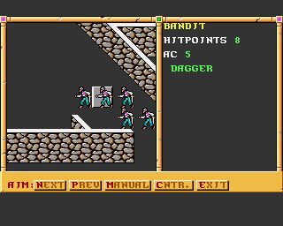 Gateway to the Savage Frontier Amiga screenshot