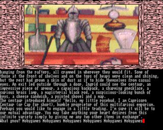 Gnome Ranger Amiga screenshot