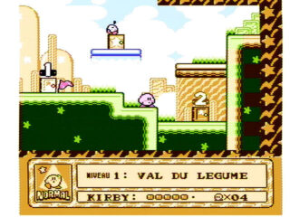 Kirby's Adventure NES screenshot