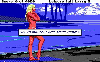 Leisure Suit Larry III - DOS