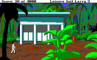 Leisure Suit Larry III - Amiga