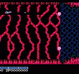 Life Force NES screenshot