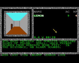 Pool of Radiance Amiga screenshot