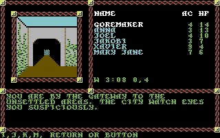 Pool of Radiance Commodore 64 screenshot
