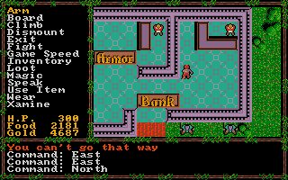 Questron II Amiga screenshot