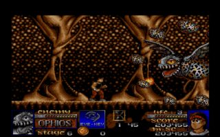 Risky Woods Amiga screenshot