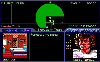 Sentinel Worlds I: Future Magic DOS screenshot