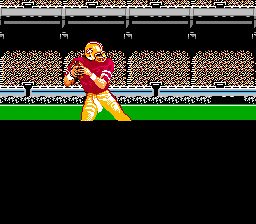 Tecmo Super Bowl NES screenshot