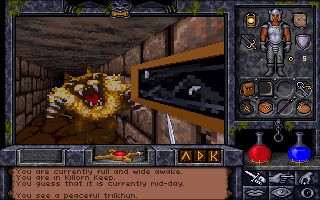 Ultima Underworld II: Labyrinth of Worlds DOS screenshot