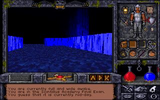 Ultima Underworld II: Labyrinth of Worlds DOS screenshot