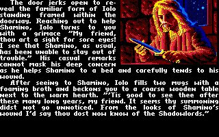 Ultima V: Warriors of Destiny Amiga screenshot