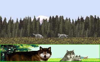 Wolf: The Simulation - DOS