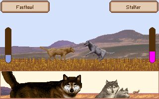 Wolf: The Simulation