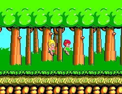 Wonder Boy SEGA Master System screenshot