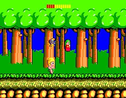 Wonder Boy SEGA Master System screenshot