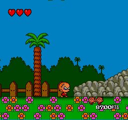 Bonk series